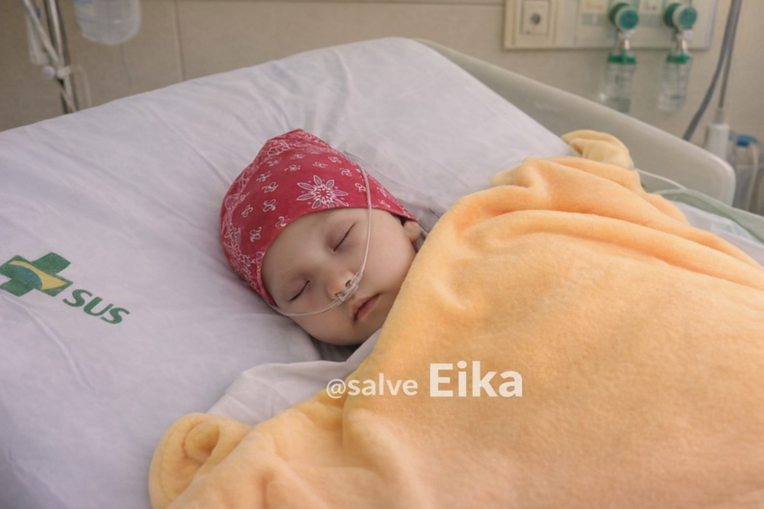 Ajude a Eika a vencer o câncer. 💛